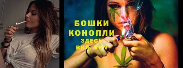 PSILOCYBIN Аркадак