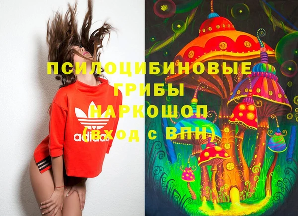 PSILOCYBIN Аркадак