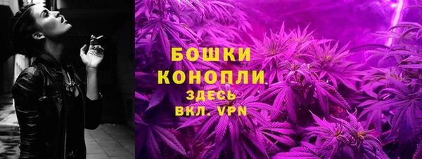 PSILOCYBIN Аркадак
