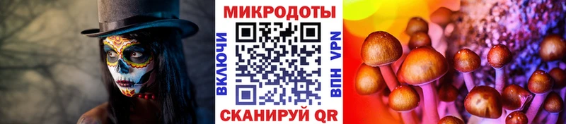 где купить наркоту  Зуевка  Псилоцибиновые грибы прущие грибы 